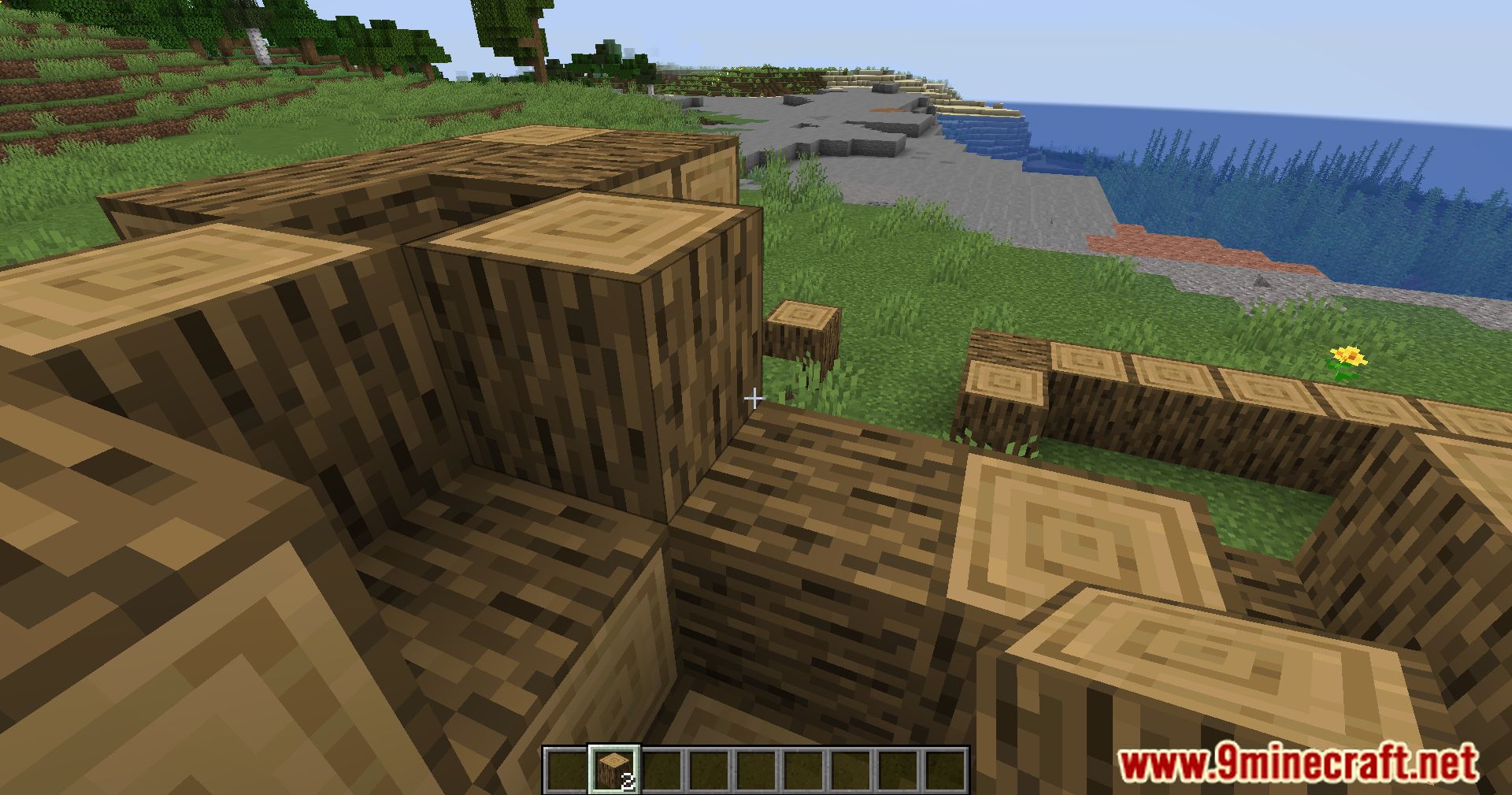 description_2 Accurate Block Placement Reborn Mod - точность в каждом клике.