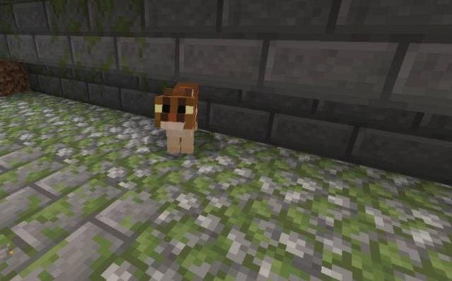 description_24 Expansion of survival.
