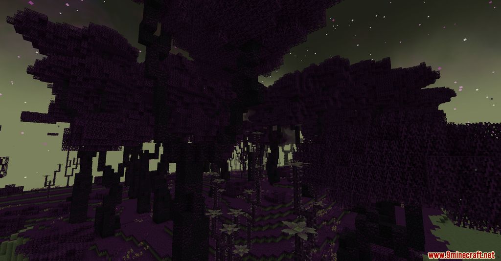 description_5 Better End Mod - улучшение размеров.