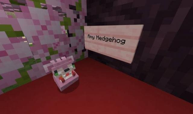 description_9 Hedgehogs from Kuma.
