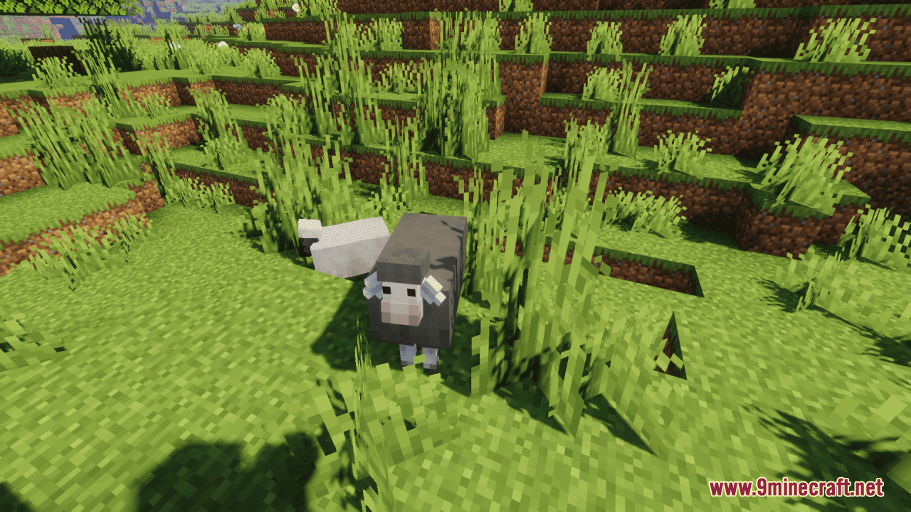 description_6 Better Sheep Resource Pack (1.20.4, 1.19.4) - texture pack