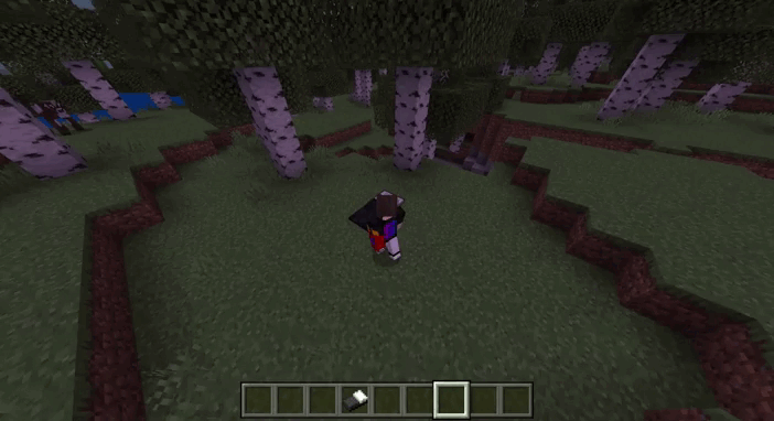 image 1 for Bedbag Supplement (1.20) - MCPE/Bedrock Mod
