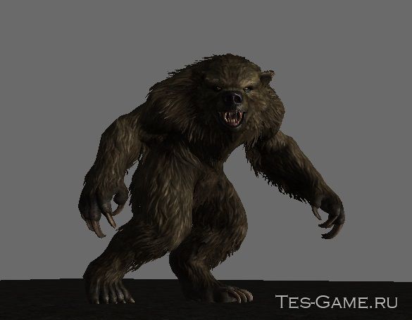 description_2 Wicked Werewolves - Werewolves SE replayer
