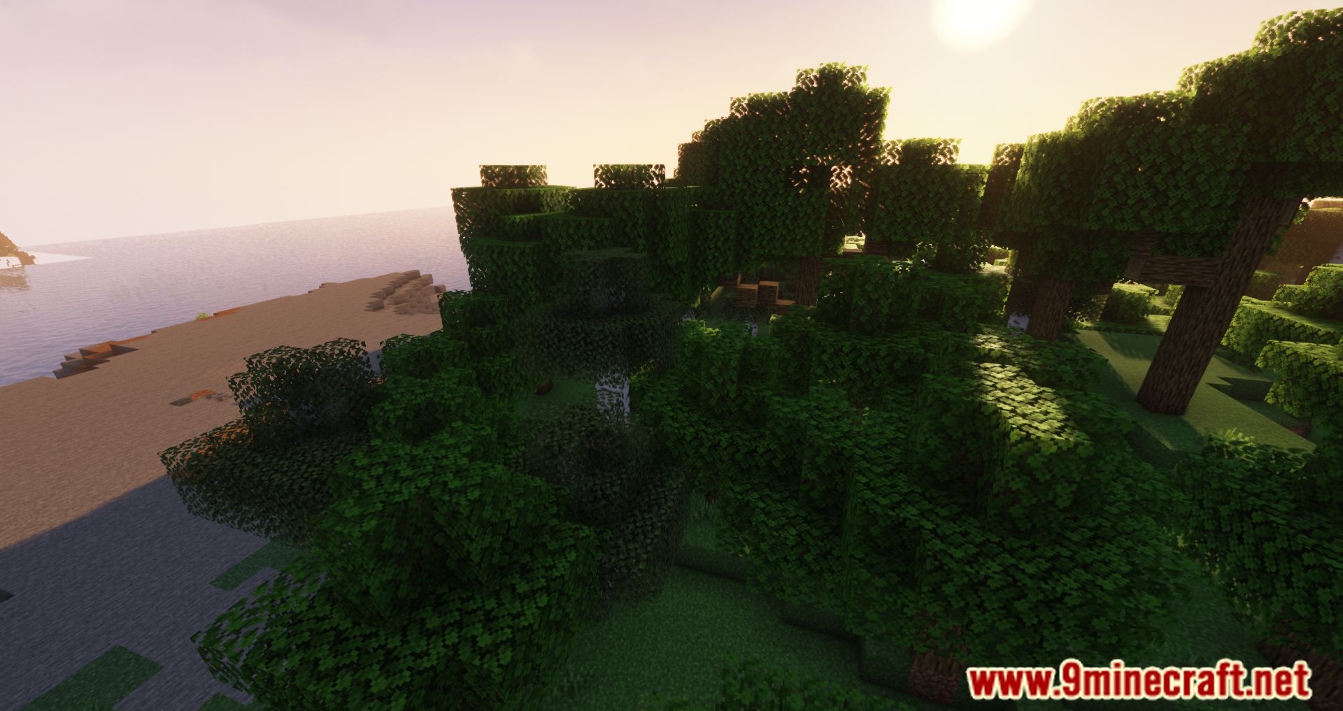description_1 ViaFabric Mod (1.20.4) - используйте различные версии мода