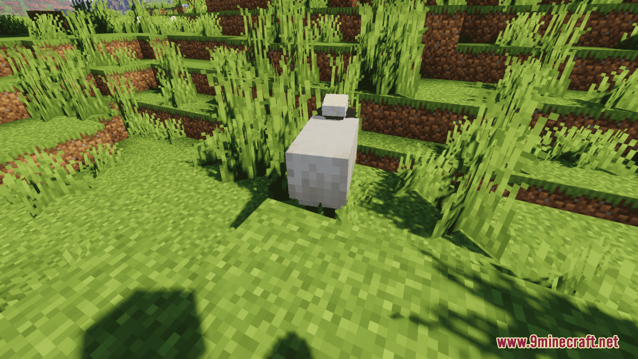 description_4 Better Sheep Resource Pack (1.20.4, 1.19.4) - texture pack