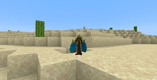 description_7 Кломбы.