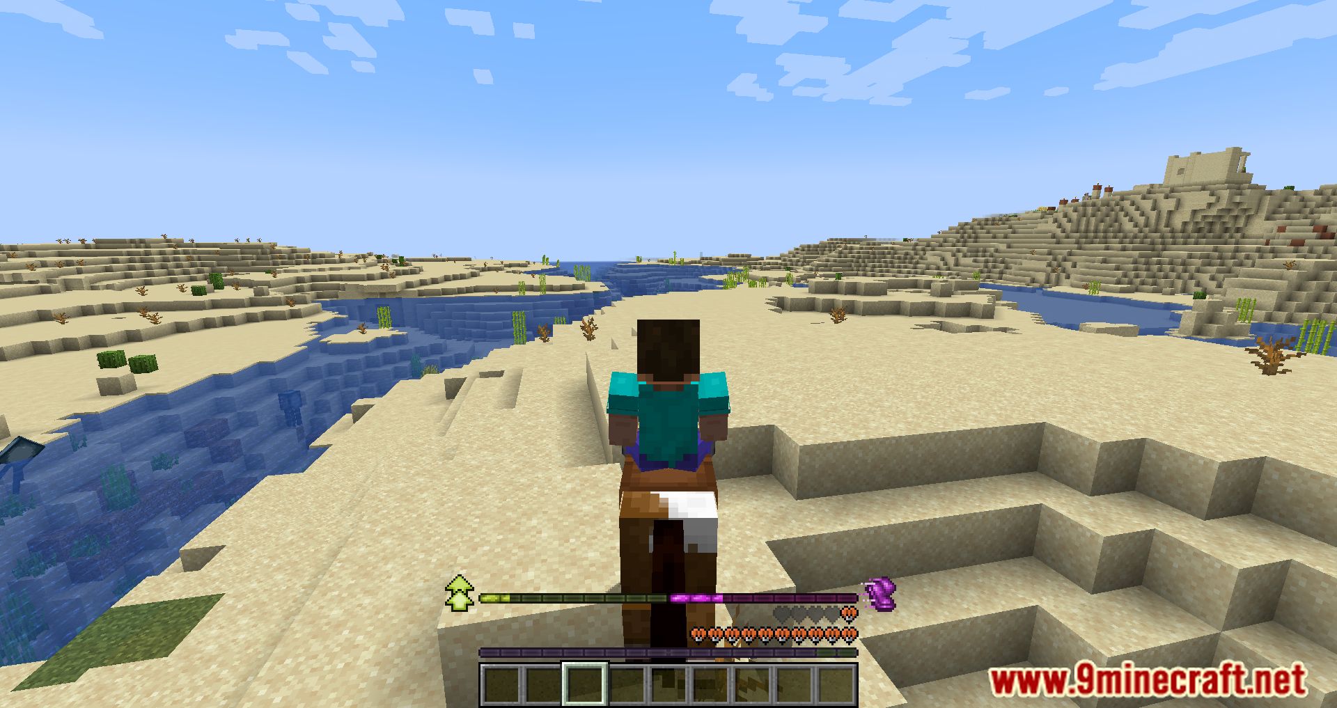 description_6 RideHUD Mod 1.20.4 - Mejora tus aventuras de equitación con RideHUD