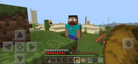 description_18 Herobrine.