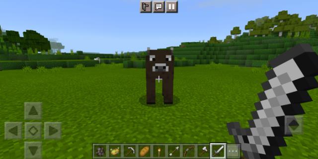 description_0 Bulls.