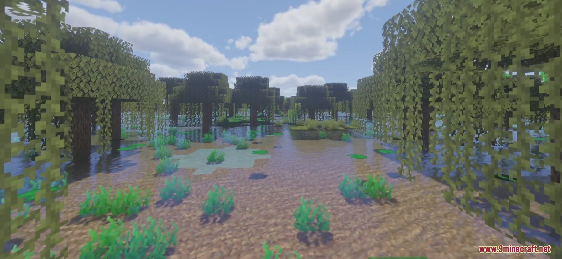 description_2 Raspberry Shaders 1.20.4 - free version of MollyVX