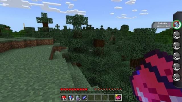 description_2 Pokébedrock