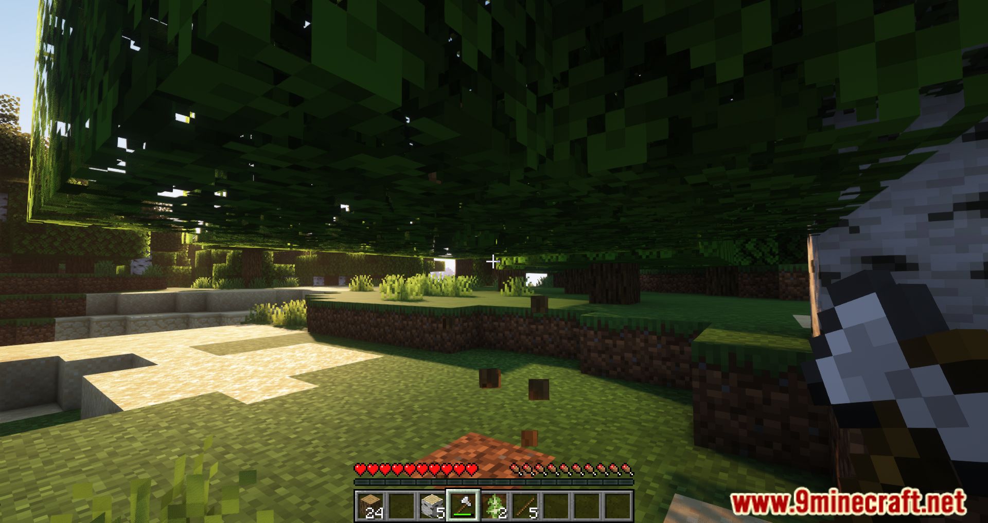 description_9 Decaimiento acelerado mod (1.20.4) - útil para cortar árboles