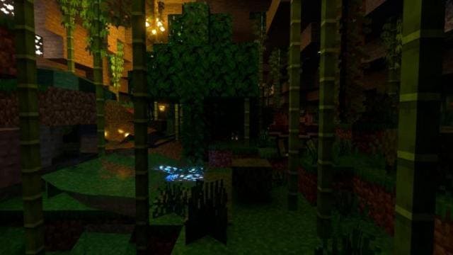 description_28 Красивейшие биомы.