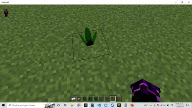 description_1 Pikmin.