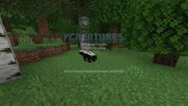 description_20 Больше животных.