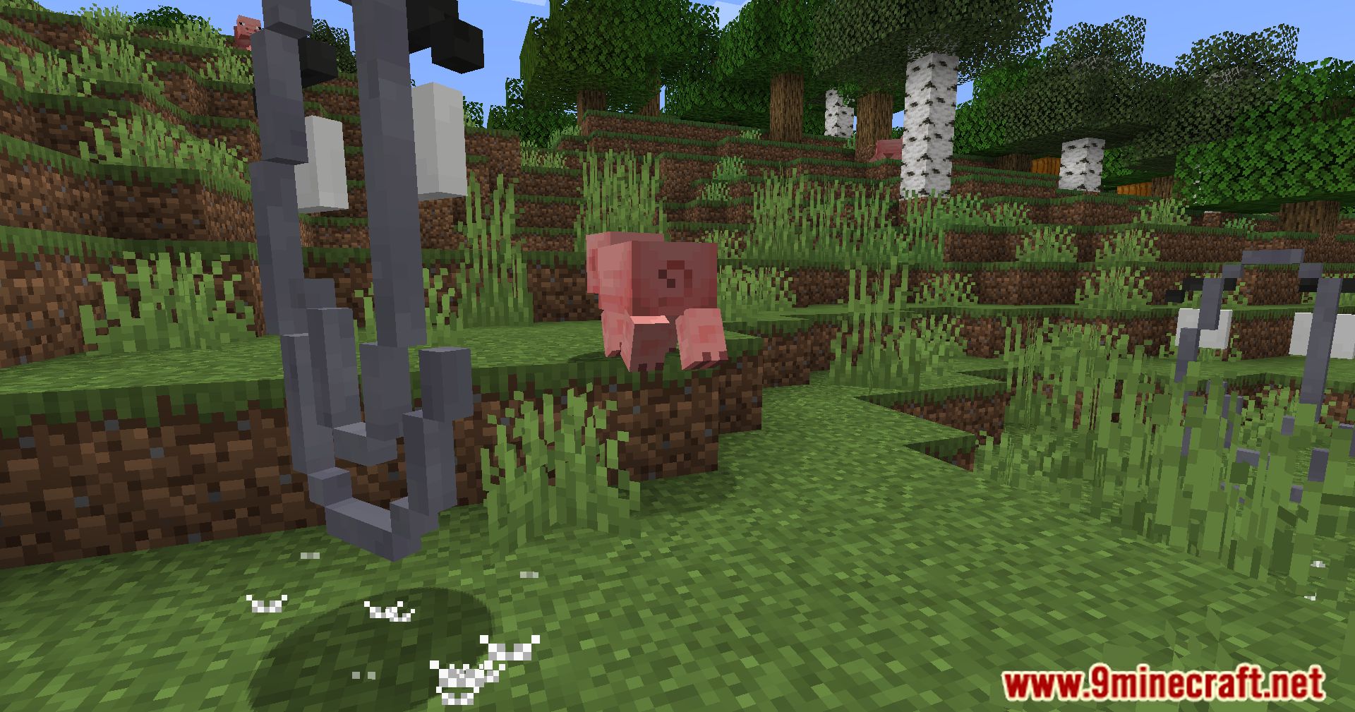  image 10 for
