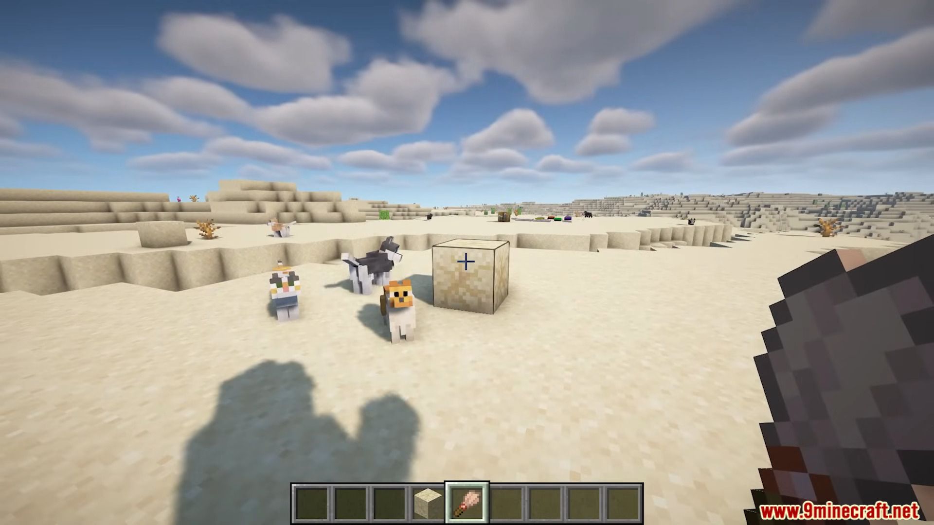 description_5 Pet Shop Mod (1.20.1) - интерактивные питомцы и предметы для них