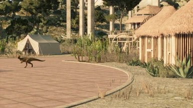  image 15 for