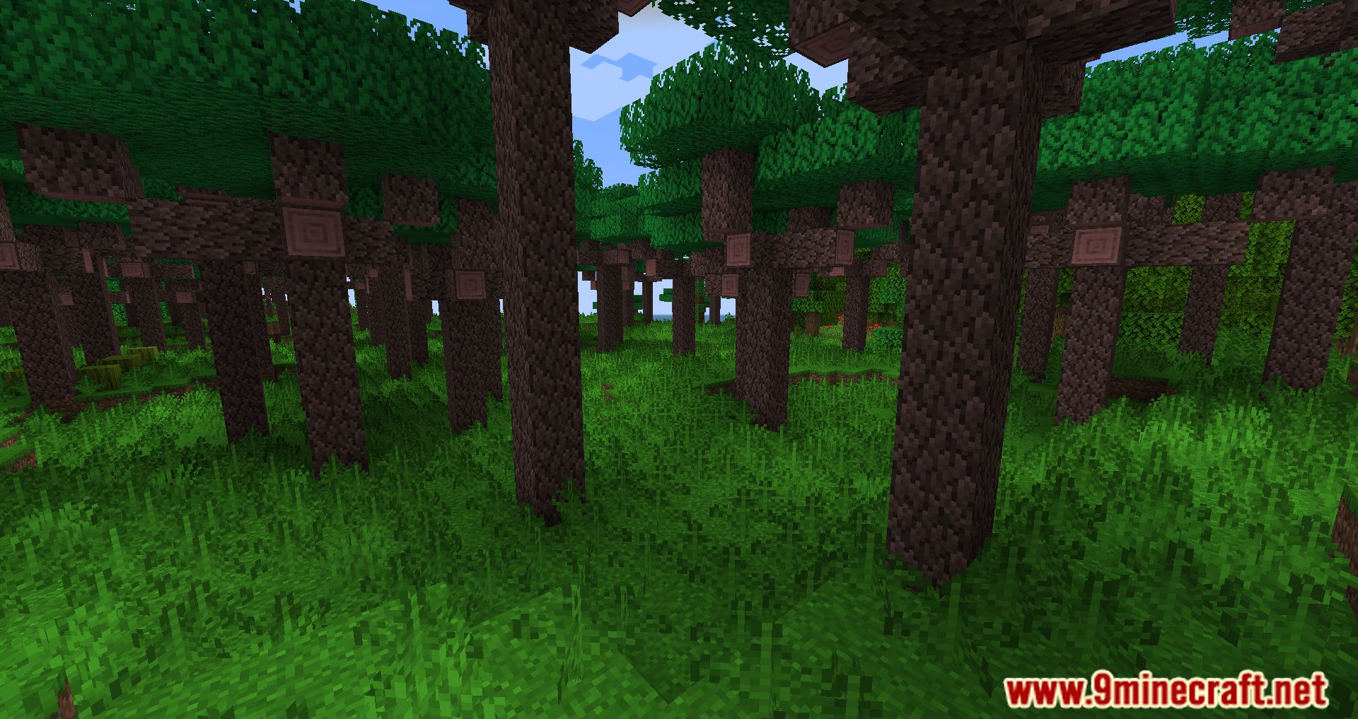 description_18 Mod Pack ligeramente aromatizado - Escucha el viento y la aventura.