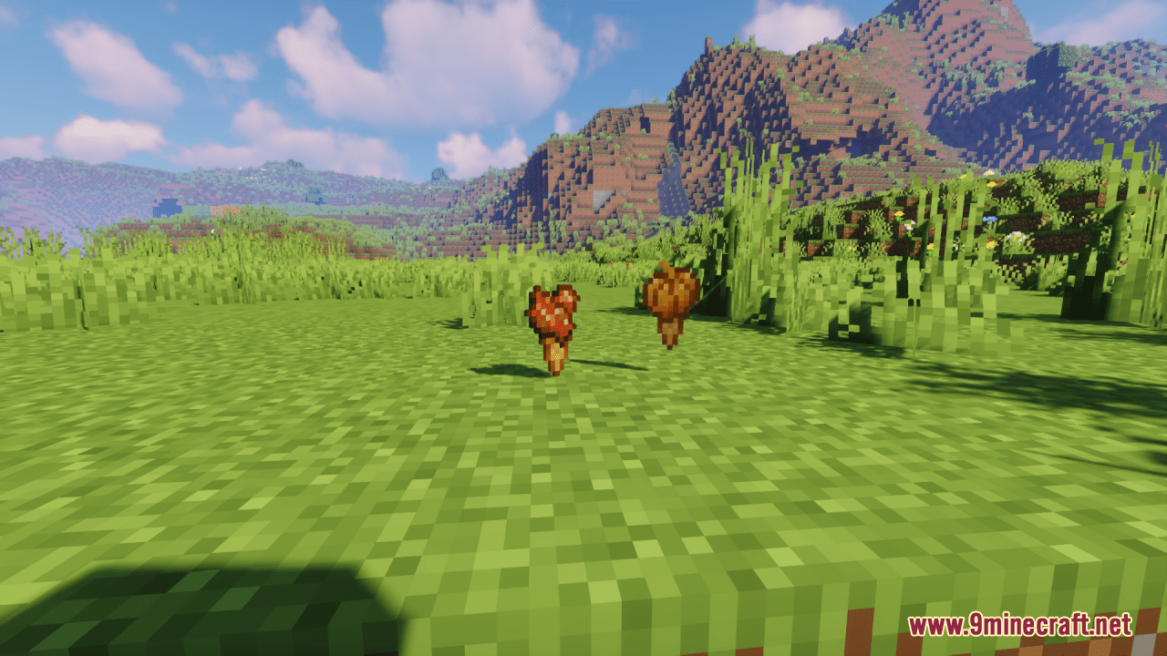 description_13 Resource set 