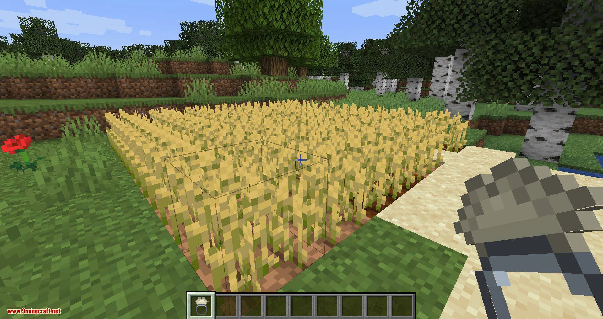 image 10 for Growth Ring Mode (1.20.5) - accelerated growth.