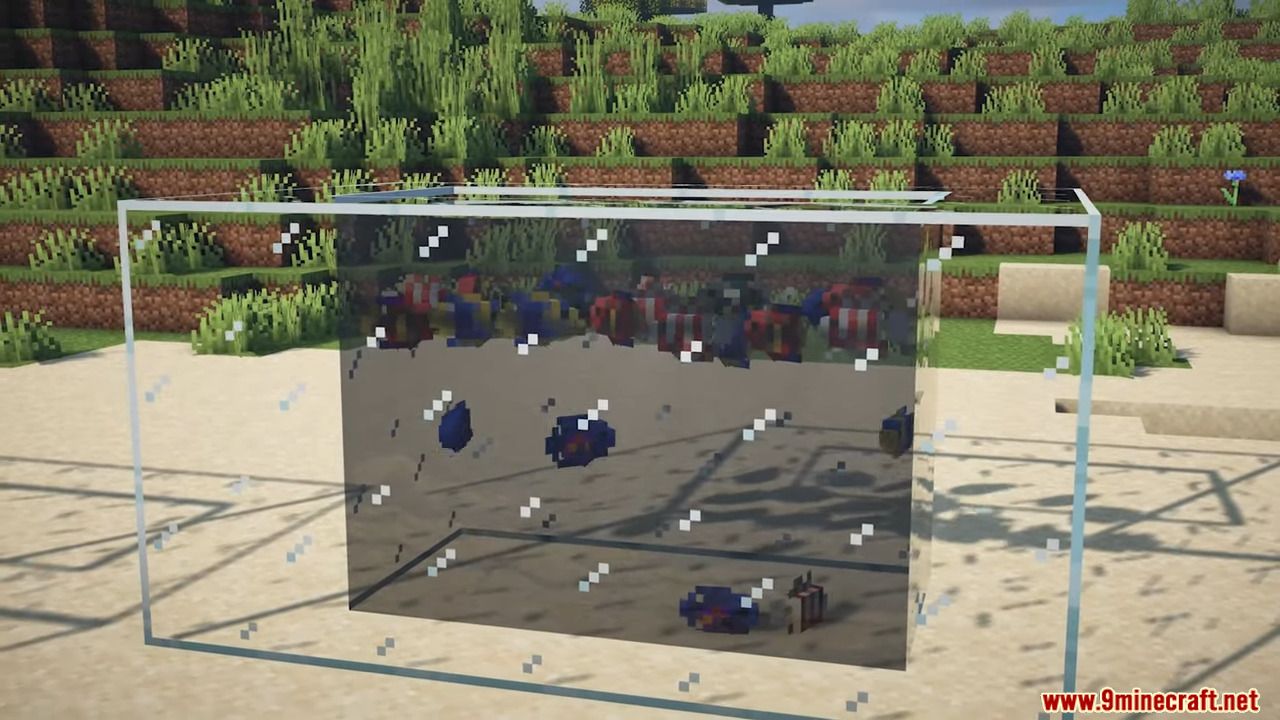 description_1 Rainbow Reef Mod (1.20.1) - 79+ dazzling fish