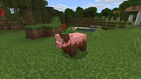 description_0 Criaturas de Miencraft Earth.