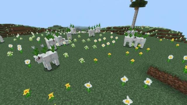 description_0 Mod: Nuevos tipos de vacas.