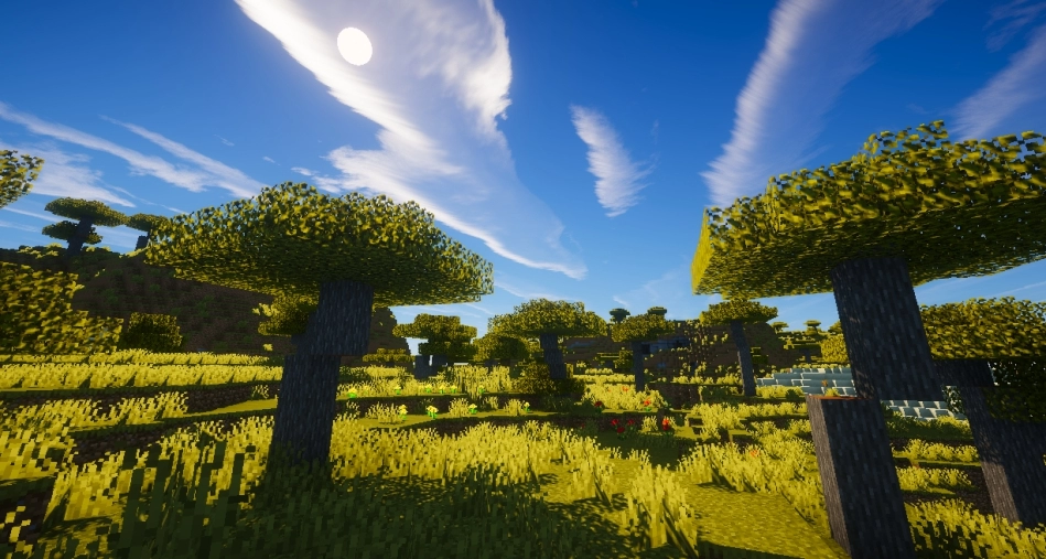 description_0 Ebin for Minecraft 1.20.1