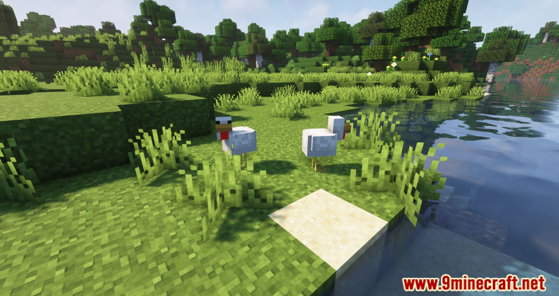 description_2 Despawning Eggs Hatch Mod - Chickens are born from dropped eggs.