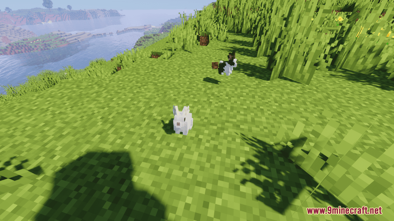 description_0 Better Farm Animals Resource Pack (1.20.2, 1.20.1, 1.20) - texture pack