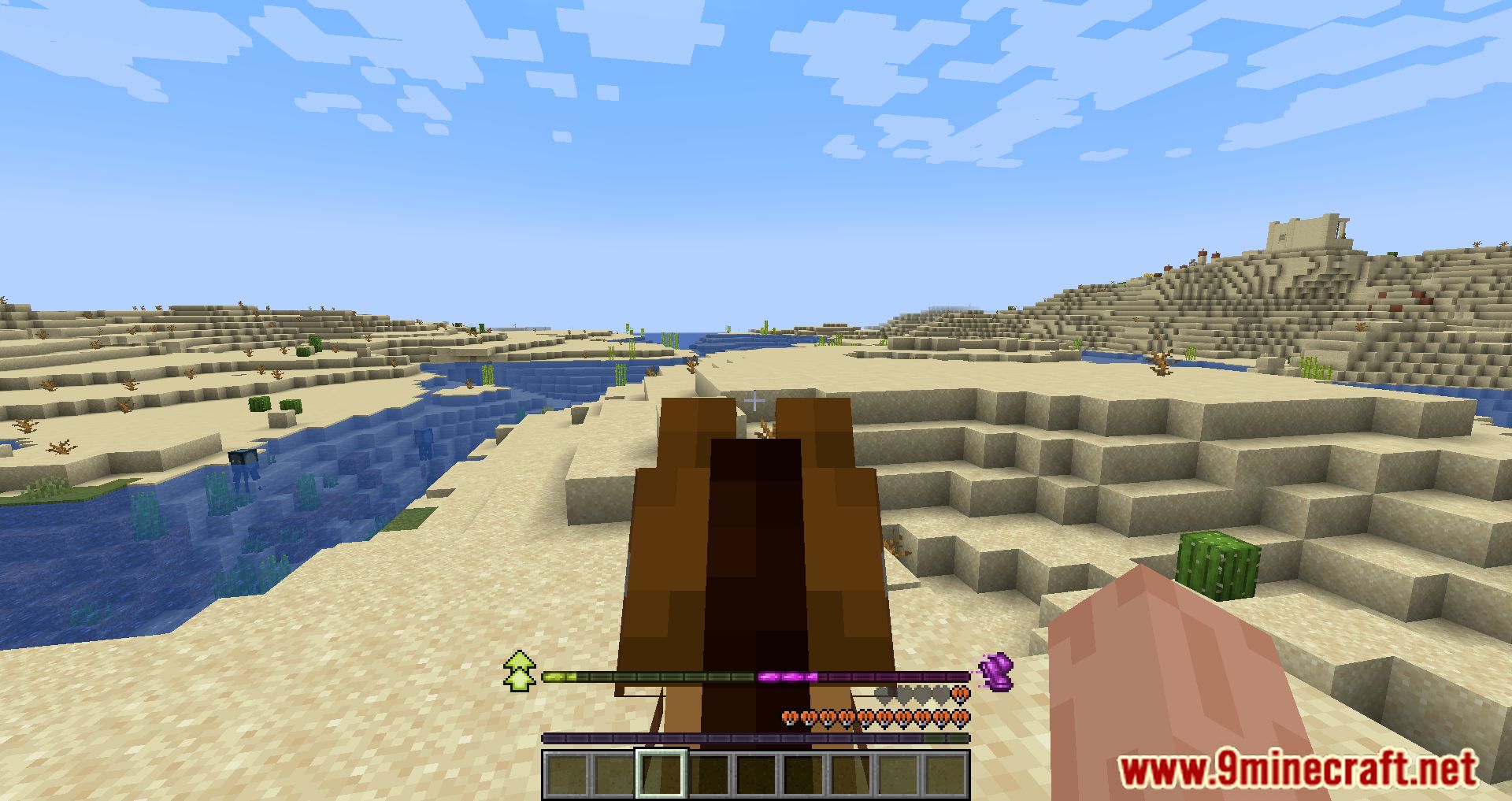 description_5 RideHUD Mod 1.20.4 - Mejora tus aventuras de equitación con RideHUD