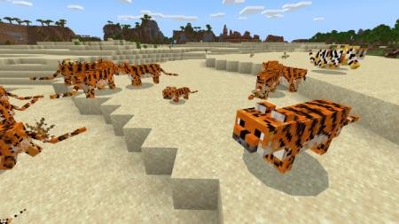 description_0 Tigers.