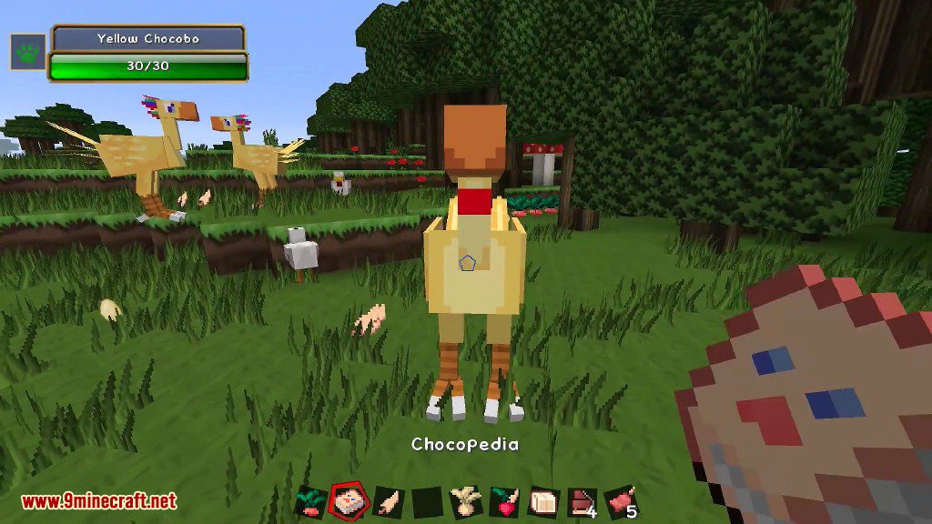 image 3 for Мод ChocoCraft (1.20.4) - Чокобо из Final Fantasy
