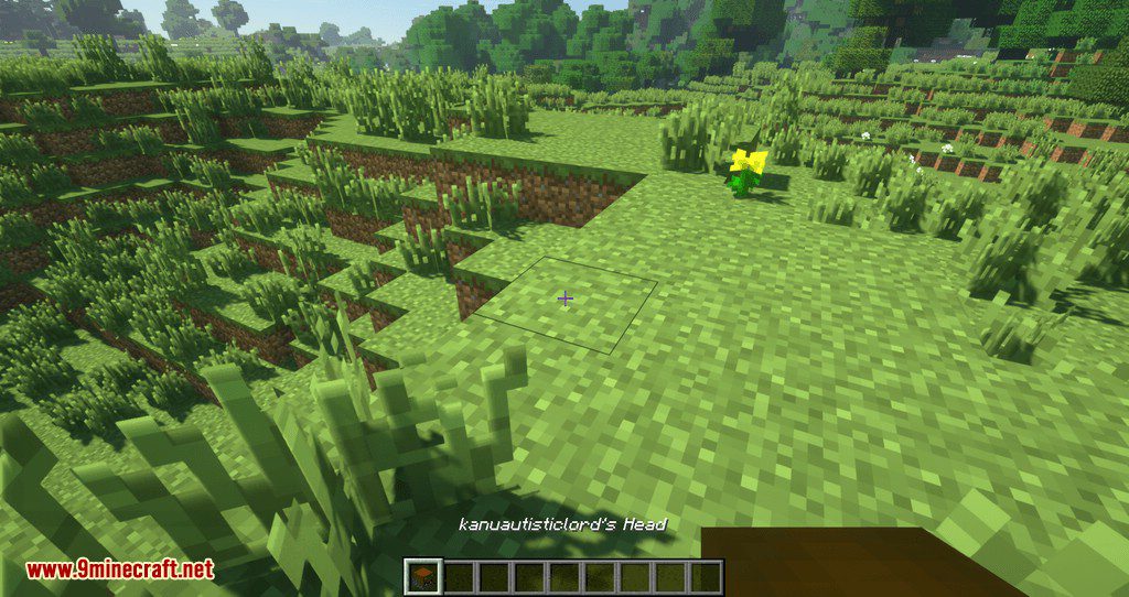 description_2 Mod Just Player Head - o jogador perde a cabeça após a morte
