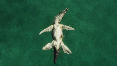  image 3 for