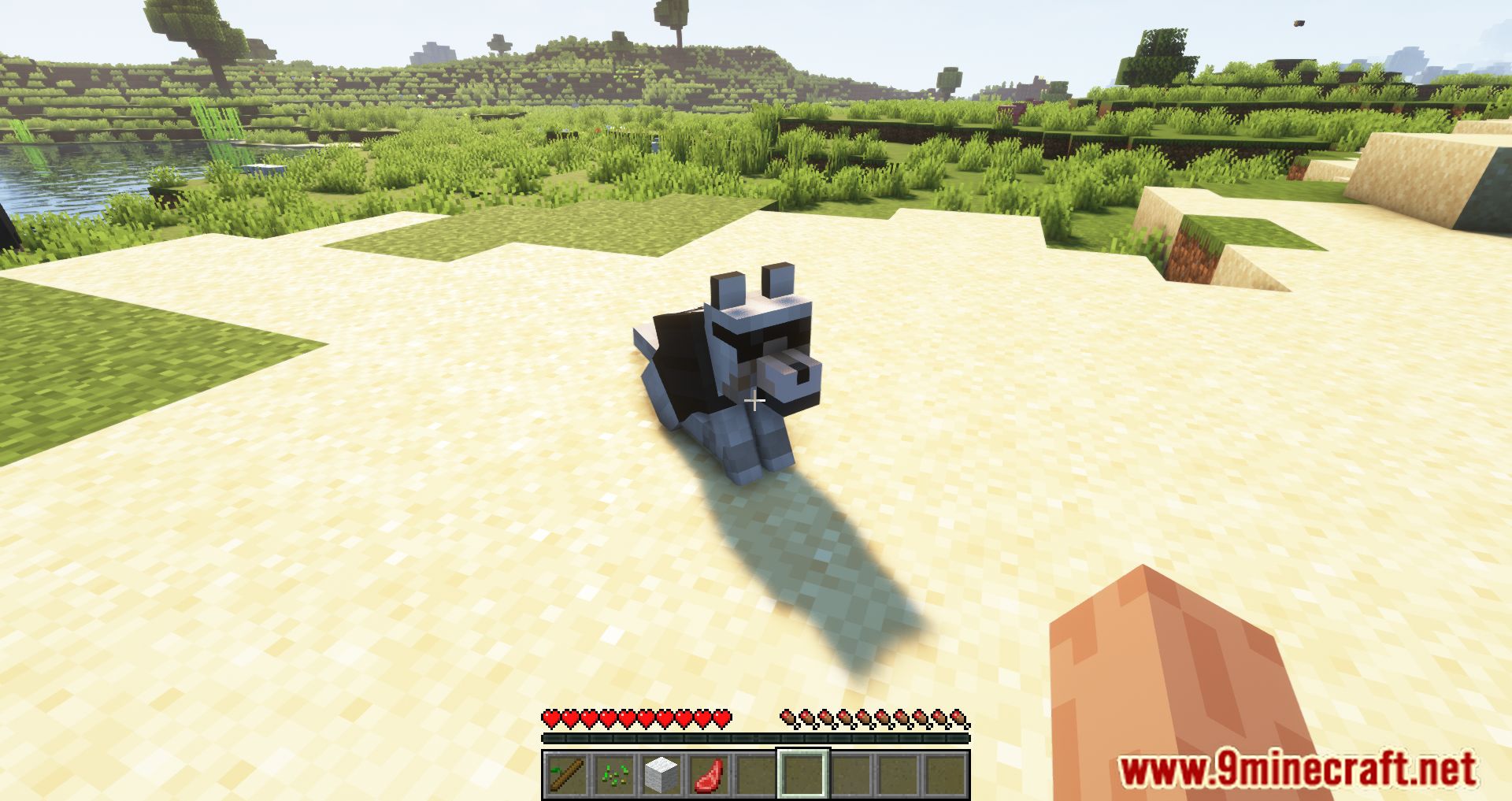 description_3 Doggy Talents Next Mod 1.20.1 - You can train your dog.