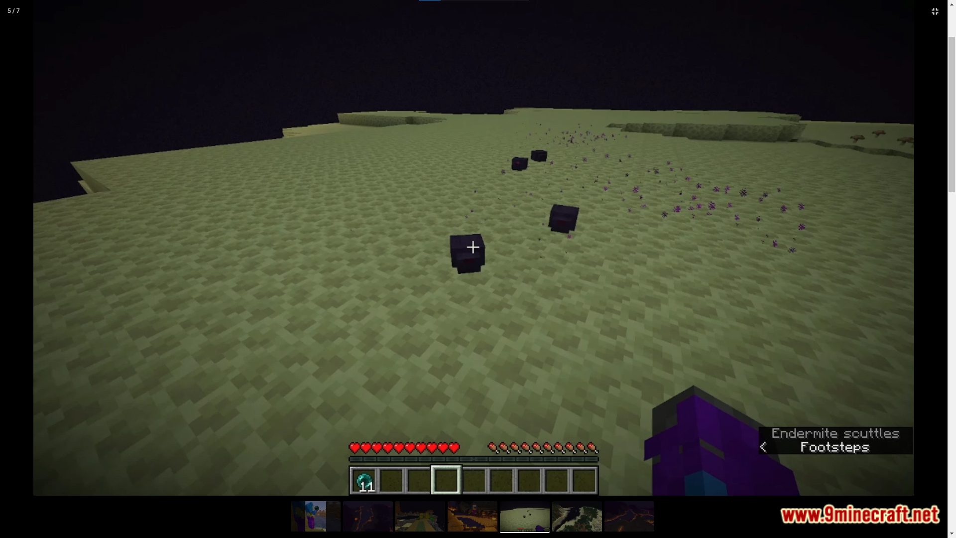 description_8 Endermite Dimension Data Pack (1.20.2, 1.19.4) - Explore la dimensión Endermite!