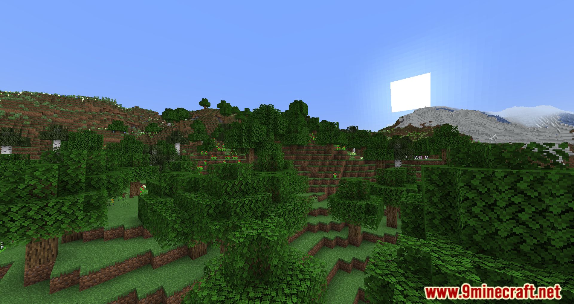 description_1 Mixin Conflict Helper Mod (1.20.1) - describes the problem and provides