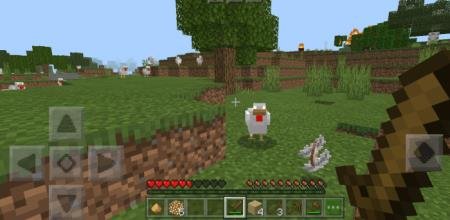 description_25 Herobrine.