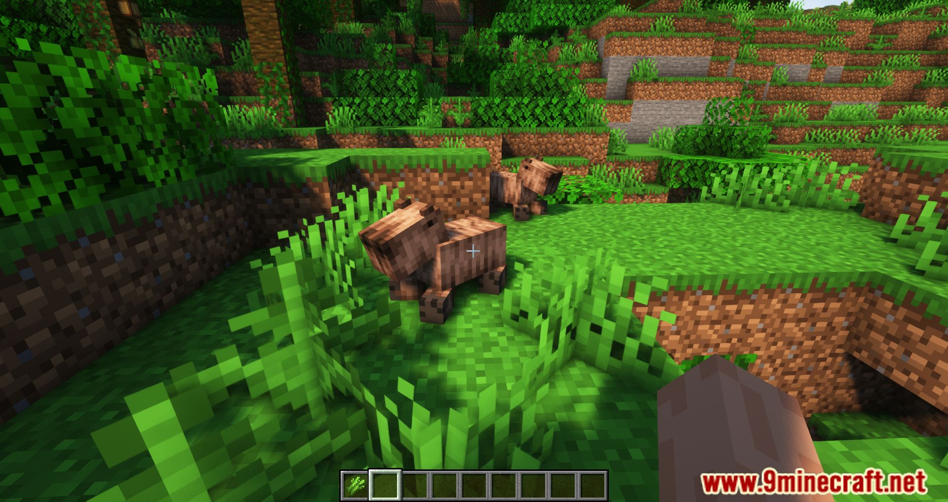 description_9 TechSupportRed's Capybara Mod 1.20.2 - Новое существо из джунглей, капибара!