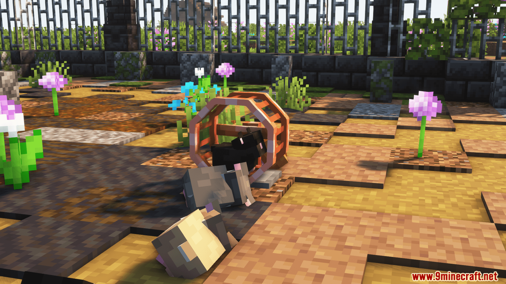 description_4 Hamsters Plus Mod (1.20.1) - приручите своих новых друзей