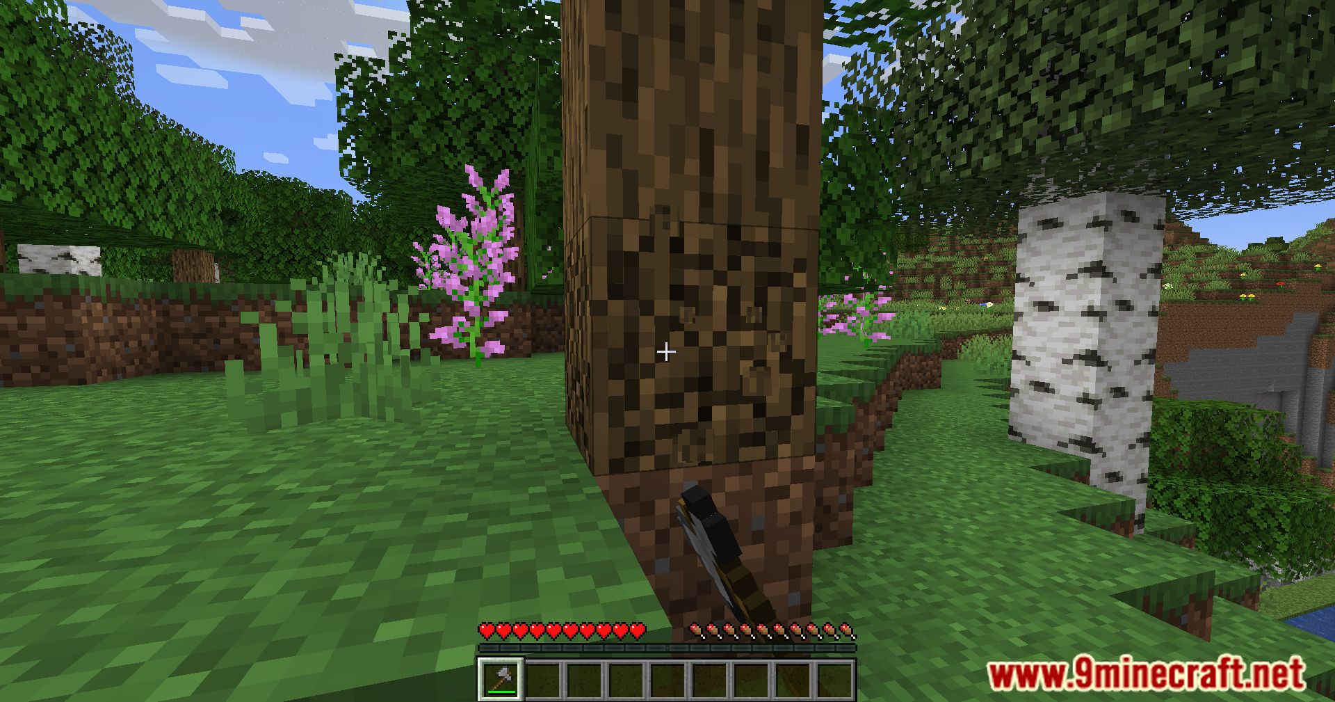 image 6 for No Strip Mod (1.20.4) - Обеспечивает естественный вид
