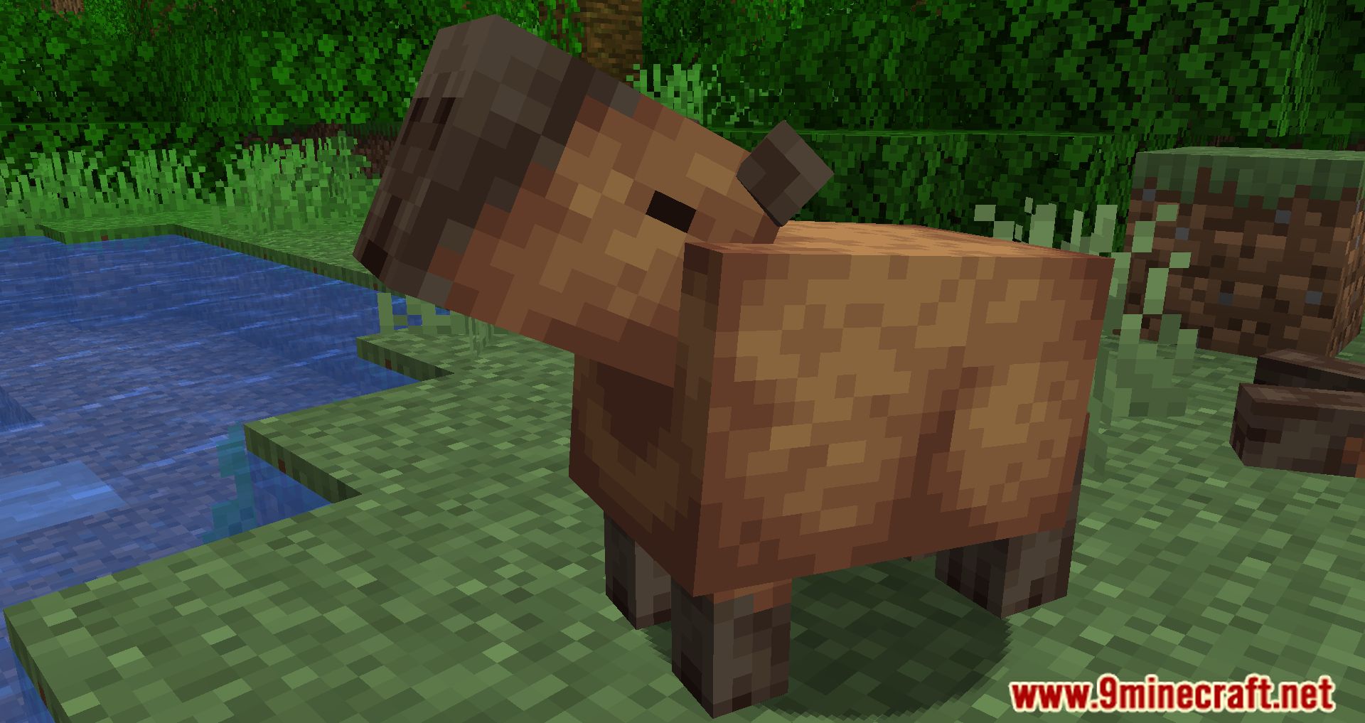 description_7 Capybara Mod 1.20.2 - Новые существа в джунглях