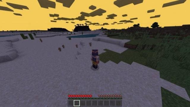 description_16 JOJO Bizarre Adventure.