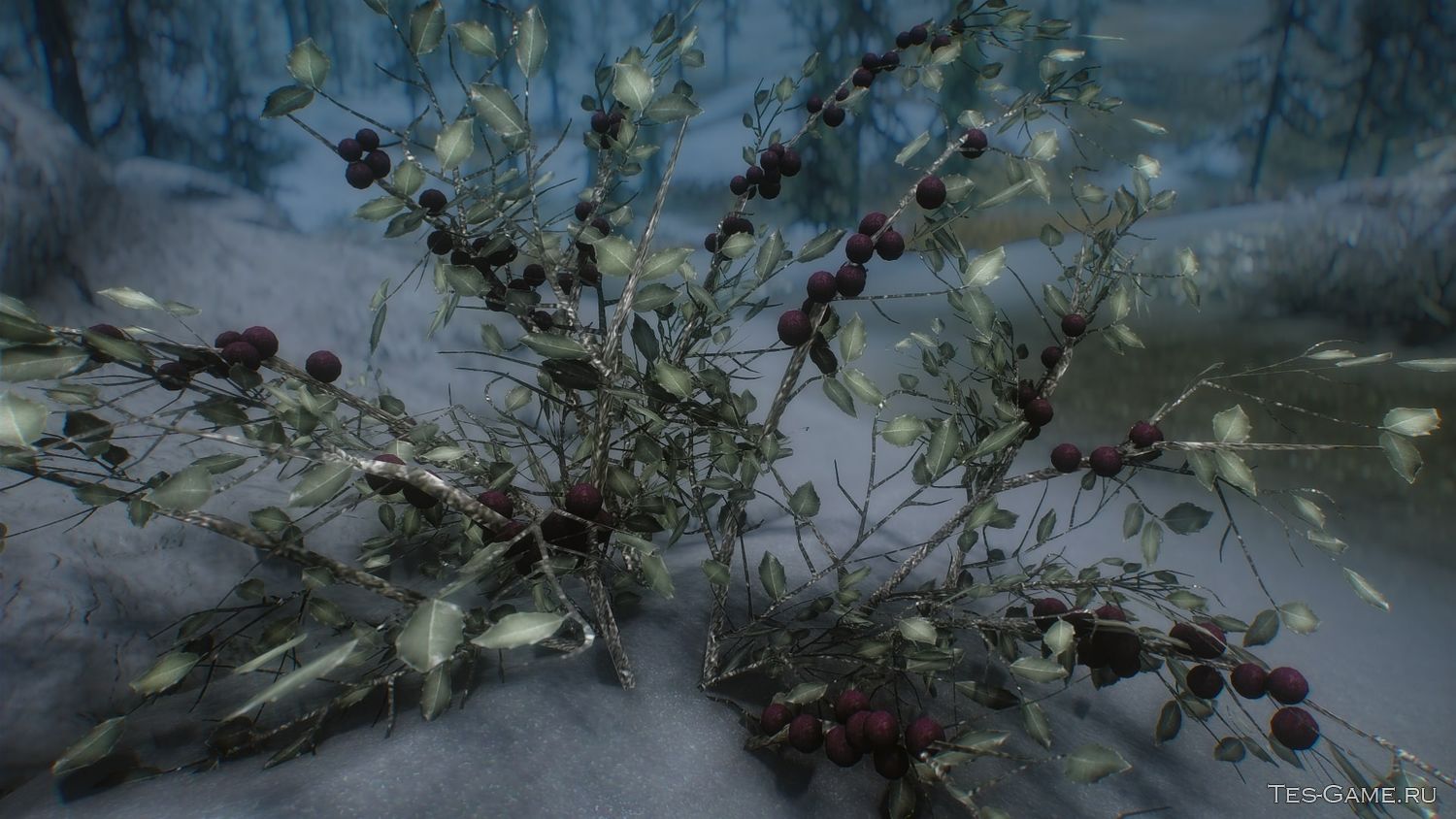 description_3 3D Snowberries SE - Снежные Ягоды 3D SE