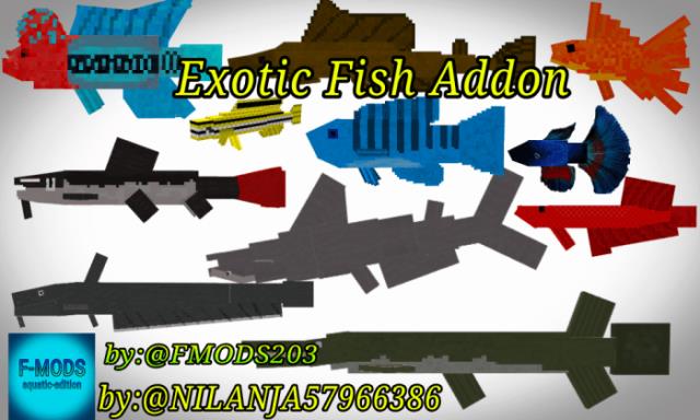 description_0 Exotic fish.
