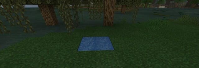 description_15 SCP - content.