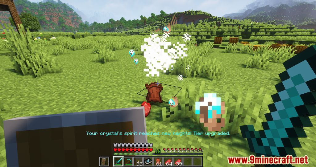 description_8 Spirit Mod 1.19.2 - Your personal spoon cage