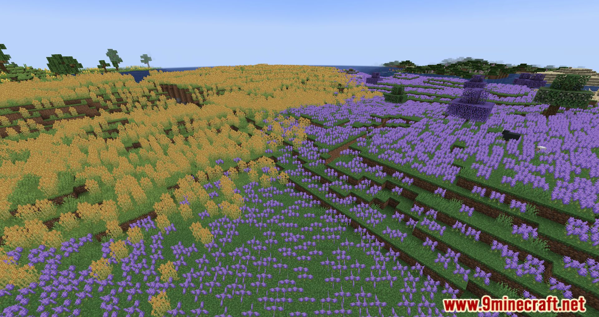 description_1 Mod Pack ligeramente aromatizado - Escucha el viento y la aventura.